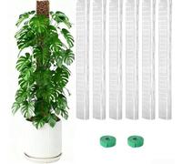 24 Inch D Shaped Plastic Moss Pole Set for Indoor For Climbing Plants Supports Vertical Growth and Root Clinging with Innovative Flat Design for Sustained Moisture and Nutrients (6PCs)