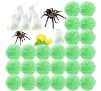 24 Pack Peppermint Oil Spider Repellent Pouches - Powerful Ant Repellent Plant-Based Ingredients for Outdoor Indoor Garage House, Spider Deterrent Safe for Kids & Pets, Easy to Use