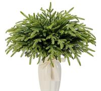 24 Pcs Artificial Norfolk Pine Stems Christmas Greenery Branches Evergreen Cedar Picks for Xmas Wreath Garland Diy Craft Vase Filling Floral Arrangement Indoor Outdoor Decorating (24, Norfolk Pine)