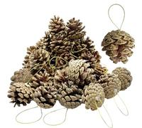 24 Pcs Christmas Natural Pine Cones, Rustic Pinecones Bulk Ornaments with String for Crafting for Home Accent Decor, Fall Thanksgiving Tree Decoration (4-6cm)