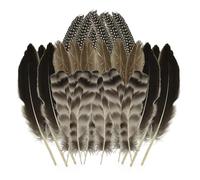 24 Pcs Four Natural Spotted Feathers, Feathers Supplies for Crafting, Feather Guinea Fowl Wing Feather for Crafts Pheasant Feathers Long, Hat Feathers for Making Hats and Clothing 6-8 Inches Bulk