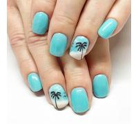 24 Pcs Glossy Full Covers False Nails Short Square Press On Coconut Tree Stick On Seagulls Acrylic