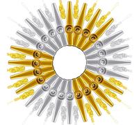 24 Pcs Gold and Silver Metal Kazoo with Lanyards Musical Instruments Mouth Kazoos Good Companion for Guitar Violin Piano Kids Adults Party Gifts