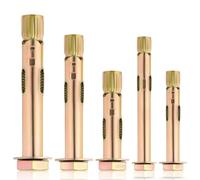 24 Pcs Heavy Duty Anchor Bolts, Expanding Rawl Plugs Screws Assorted Set - M6/8/10 Wall Anchors (50/70/80mm) for Concrete, Brick, Masonry, Plasterboard Fixings