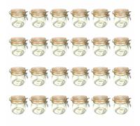 24-Piece Wire Hanger Glass 500ml Mason Jar | Preserving Jar with Wire Closure