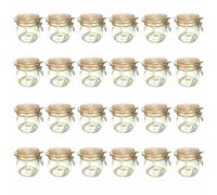 24-Piece Wire Hanger Glass 500ml Mason Jar | Preserving Jar with Wire Closure