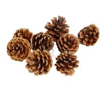 24 pieces of natural pine cones, Thanksgiving Christmas tree decorations, autumn and winter home pine cone decorations Christmas tree garland rattan decoration vase filling