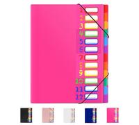 24 Pockets Expanding File Folder Organizer,Accordion File Organizer,A4 Letter Size,Rainbow Tab, for Home/Office/School Document Organizer (Rose Pink, A4)