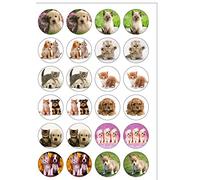 24 PRE Cut Cute Puppies & Kittens Edible Wafer Paper Round Cake Toppers Decorations