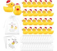 24 Sets Christmas Employee Appreciation Gifts Bulk Inspirational Cards Mini Christmas Resin Duck Gift Bag Tiny Xmas Ducks Thank You Gifts for Coworkers Team Teacher Nurse Xmas Stocking Stuffers