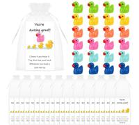 24 Sets Inspirational Gifts Mini Resin Ducks You're Great Cheer up Greeting Cards Employee Appreciation Gifts Thank You Gift for Coworker Volunteer Staff Nurse Teacher Office Pocket Favors Team Gift