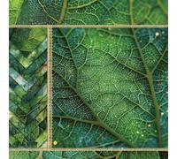 24 Sheets 6x6 in Scrapbook Paper, Nature-Inspired Single Sided Patterned Paper for DIY Crafting, Junk Journals, Card Making and Gift Wrapping, 12 Designs (Green, one Size)