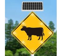 24" Solar LED Flashing Cow Crossing Slow Down Traffic Sign | 24-inch solar-powered LED flashing traffic sign for cow crossing zones, alerts drivers to slow down and improve road safety