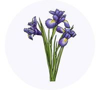 24 x 40mm Round 'Blue Iris Flowers' Stickers (SK00048759)