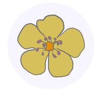24 x 40mm Round 'Buttercup' Stickers (SK00034926)