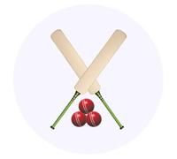24 x 40mm Round 'Cricket Bats and Balls' Stickers (SK00069161)