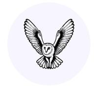 24 x 40mm Round 'Flying Barn Owl' Stickers (SK00066978)