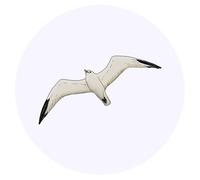 24 x 40mm Round 'Flying Seagull' Stickers (SK00043215)