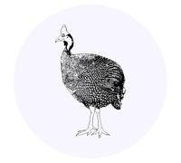 24 x 40mm Round 'Guinea Fowl' Stickers (SK00039856)