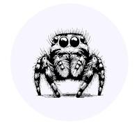 24 x 40mm Round 'Hairy Jumping Spider' Stickers (SK00071503)