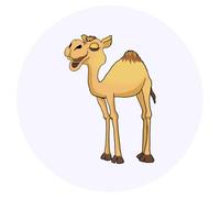 24 x 40mm Round 'Happy Camel' Stickers (SK00071308)