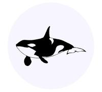 24 x 40mm Round 'Killer Whale' Stickers (SK00001645)