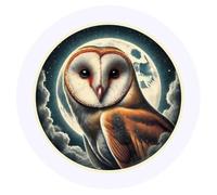 24 x 40mm Round 'Moonlight Barn Owl' Stickers (SK00070161)