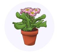 24 x 40mm Round 'Pink Primrose' Stickers (SK00049381)