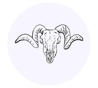 24 x 40mm Round 'Ram Skull' Stickers (SK00035129)