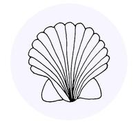 24 x 40mm Round 'Scallop Shell' Stickers (SK00005983)