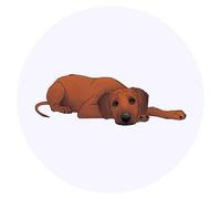 24 x 40mm Round 'Sleepy Rhodesian Ridgeback Dog' Stickers (SK00058526)
