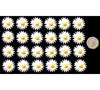 24 x Edible 3D 20mm Daisies, Daisy Flowers, 20 Colours, Toppers, Decorations Cake (White)
