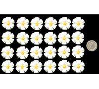 24 x edible 3D 25mm Daisies, Daisy flowers, 20 colours, toppers, decorations cake (White)