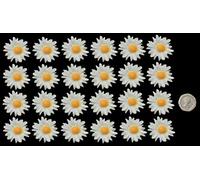 24 x edible 3D 30mm Daisies, Daisy flowers, 20 colours, toppers, decorations cake (White)