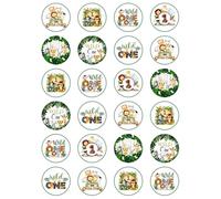 24 x Wild One Party Mix Edible Wafer or Icing Cupcake Topper Fun 1st Birthday Party Cake Decorations Perfect For Brownies Cookies Muffins & More! (Premium Icing Sheet)