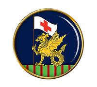 243 Field Hospital, British Army Pin Badge