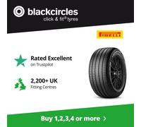 Pirelli Scorpion Verde ( 245/45 R20 103W XL LR )