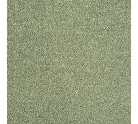 247Floors Carousel Twist Carpet 12mm Thick Stain Resistant Hardwearing Living Room Bedroom (Sage Green 440, 4m x 4m)