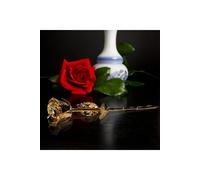 Mikamax - 24k Gold Rose - Golden Rose - Real Rose Dipped into Gold - Certificate of Authenticity - Dimensions Gold Rose 7-8 inches - Luxurious Box size: 32 x 5 x 11 cm