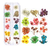 24PCS 12Color Dried Flower Nail Art Accessory, naturàl Flowers, Unlimited Creativity, Compatible with Glitter, Sequins for Phone Case, Nails, Greeting Cards (B)