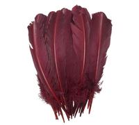 24Pcs Burgundy Turkey Feathers 10~12 inch,Beautiful Long Feather for Crafts,Big Size Bilateral Natural Feather,for Wedding Dress and Party Decoration,DIY Fabricating Handicraft Article (Burgundy)