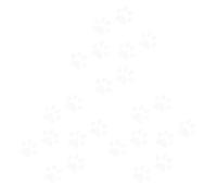 24pcs Cat Footprint 11x6 Cm Car Sticker White Body Decal PVC