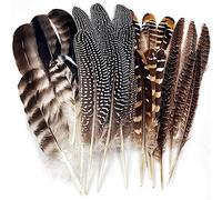 24Pcs Natural Pheasant Feathers for DIY Craft 15-22cm Assorted Wild Turkey Guinea Fowl Wing Quill Wedding Home Party Decorations(4 Styles)