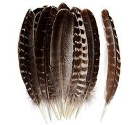 24pcs Natural Wild Turkey Tails Feathers Quill Bulk 8-10inch 20-25cm for DIY Crafts Project Collection Wedding Decoration Wild Turkey Tails