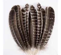 24pcs Natural Wild Turkey Wing Feathers Quill Bulk,25-30cm Soft Pheasant Tails Feathers for DIY Crafts Project Collection Wedding Decoration (25-30CM)