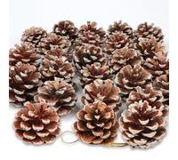 24PCS Pine cones Christmas Snow White Natural Pinecone Rustic Frosted Dried Pinecone with String Pendant Mini Pinecone Picks for DIY Crafts Holiday Wreath Christmas Tree Party Supplies Ornaments Decor