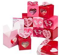 24Pcs Valentine's Day Treat Boxes Red Rose Red Pink Heart Cardboard Box with Window 3 Inch Valentines Gift Container with Instruction for Goodie Cookie Candy Sweet Crafts Party Favor Supplies(Pink)