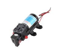 24V 100W Self Priming Diaphragm Pump