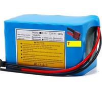 24V 10Ah 6S4P Lithium Ion Ebike Battery Pack with 25.2V 2A Charger for Electric Bicycles and Scooters - Compatible with 100W, 350W, 500W Motors