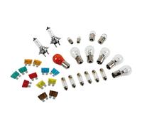 24v 24 volt H7 HGV Truck Coach lorry halogen 30 pcs bulb fuse kit + storage box
